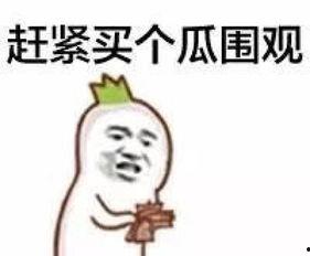 吃瓜群众是大佬小说百度云,大佬小说中的百度云传奇